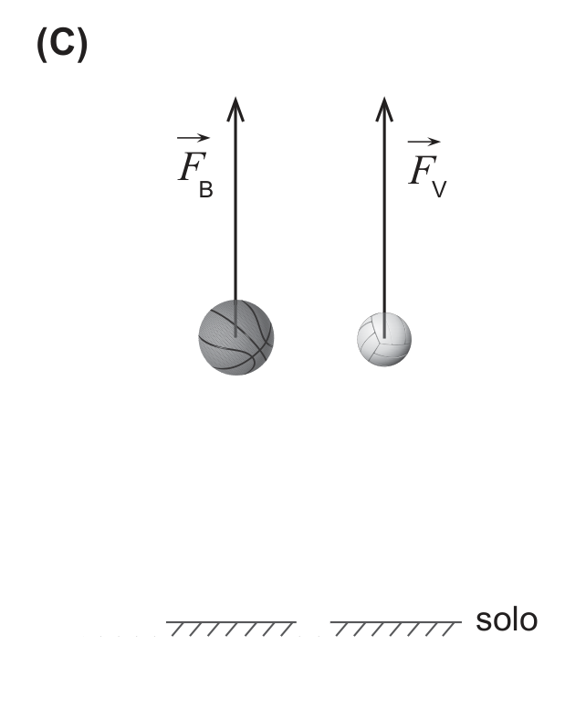Esquema (C): duas setas de igual comprimento, F_B e F_V, ambas apontando para cima