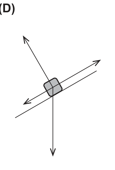 Diagrama (D): peso, normal e duas forças ao longo da rampa, em sentidos opostos
