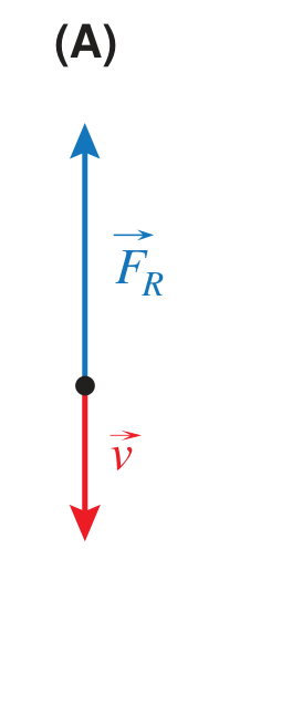 Diagrama (A): vetor v para baixo, vetor FR para cima, sentidos opostos