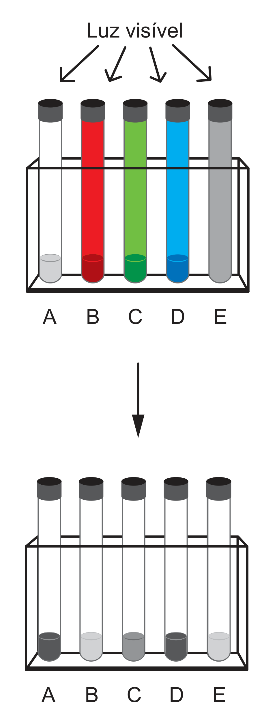 Figura 2: cinco tubos de ensaio A a E, antes (com revestimentos branco, vermelho, verde, azul e prateado) e depois da remoção dos revestimentos, mostrando diferentes graus de escurecimento