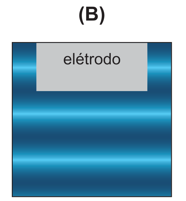 Opção (B)